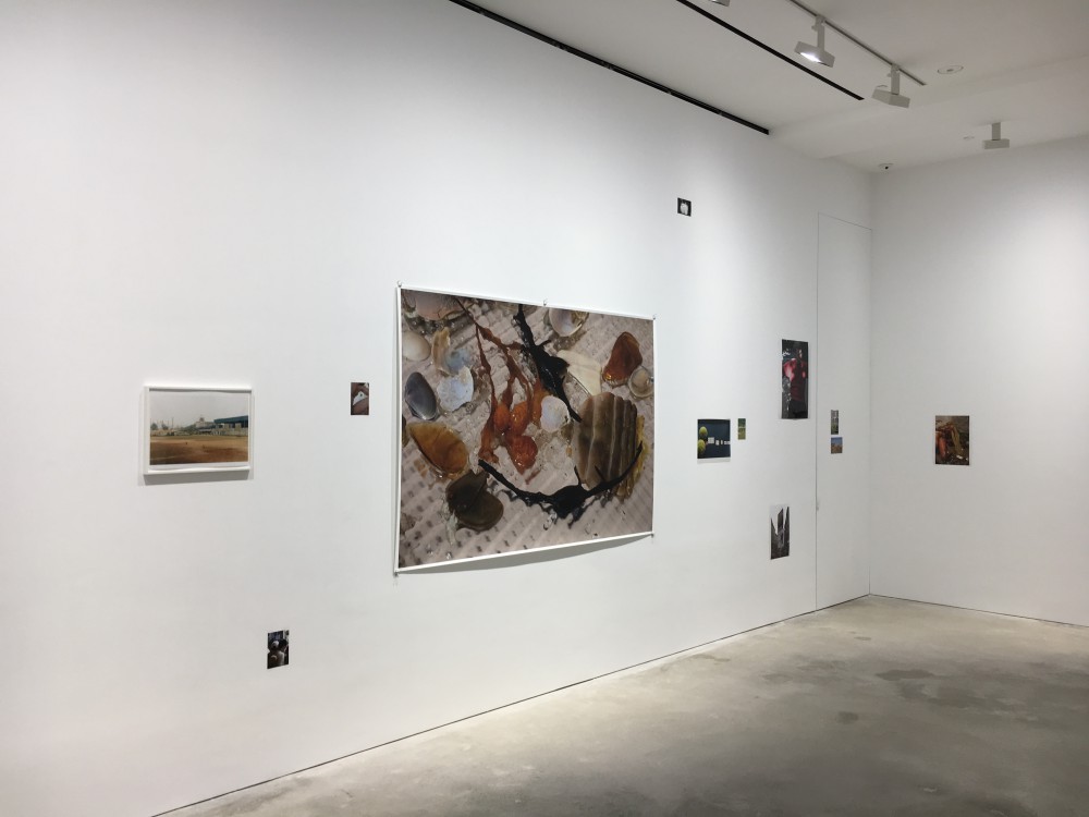 Wolfgang Tillmans Exhibition in David Zwirner Gallery HK